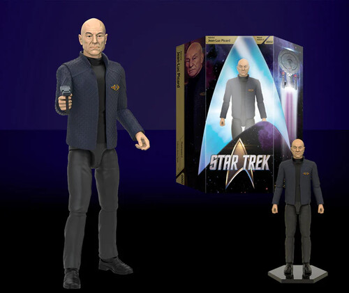 Star Trek - Jean-Luc Picard Action Figure