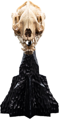 WETA Workshop Polystone - The Lord of the Rings Trilogy - Skull of a Warg Miniature Polystone Statue