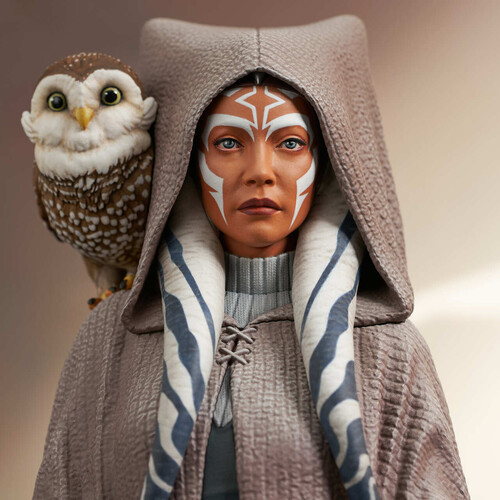 STAR WARS REBELS AHSOKA TANO 1/ 6 SCALE BUST Collectibles on CCVideo.com