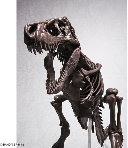 Gunpla Fossile Collection 1/32 Imaginary Skeleton Tyranno... Bandai chez