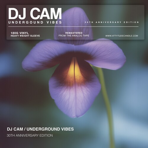 DJ Cam, Underground Vibes (30th Anniversary)