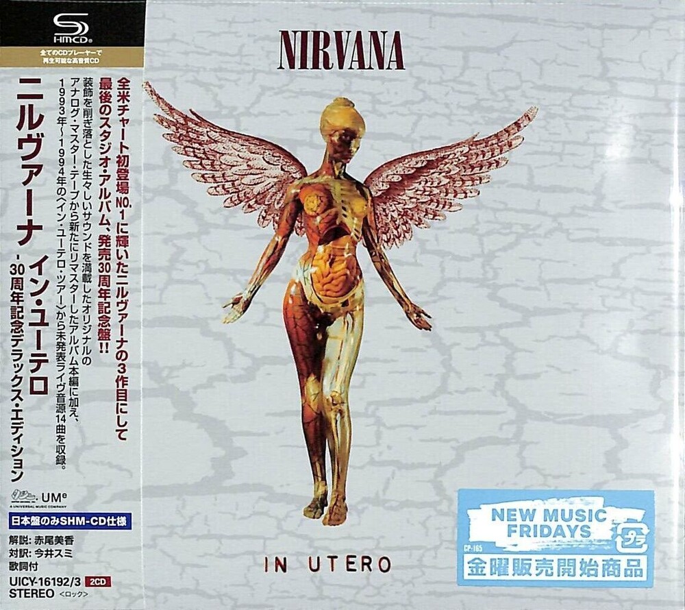 Nirvana Releases | Music Millennium