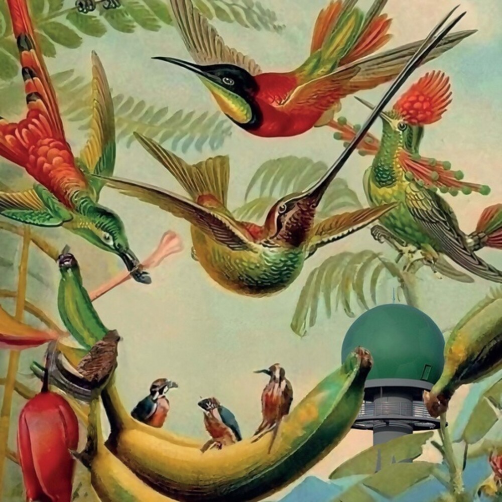 Album Art