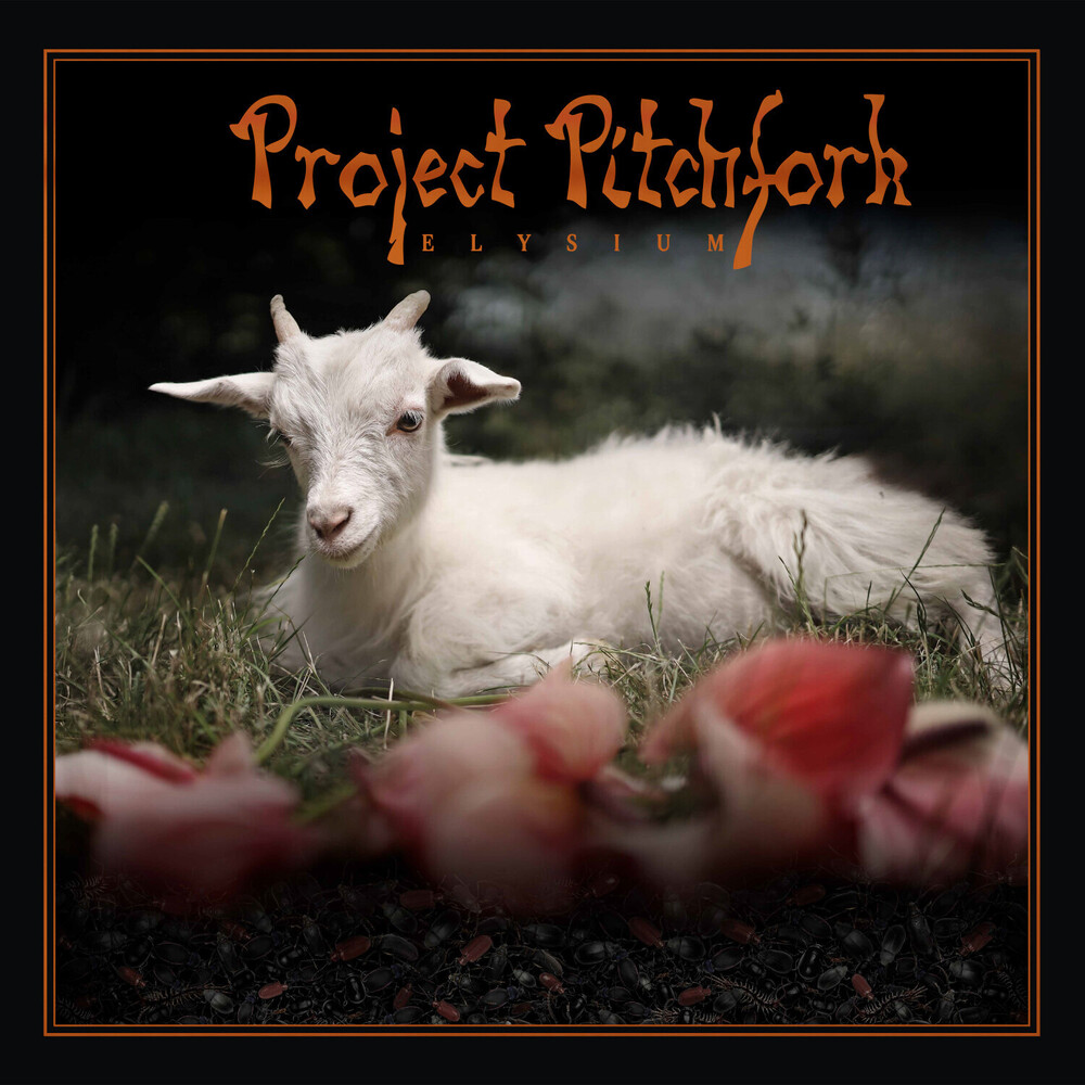 Album Art