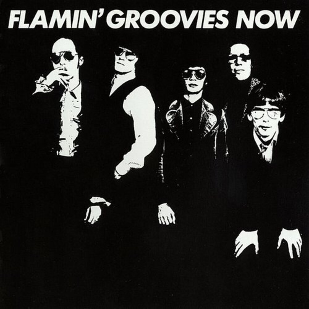 Flamin' Groovies - Now
