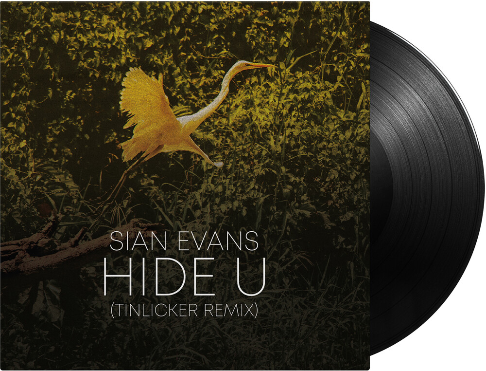 Sian Evans (Kosheen) / Tinlicker & Helsloot - Hide U (Tinlicker Remix) / Because You Move Me