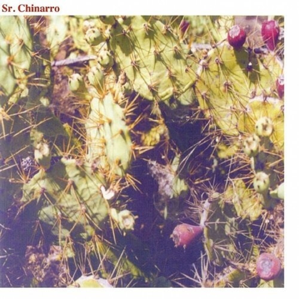 SR. CHINARRO - Sr Chinarro (Debut)