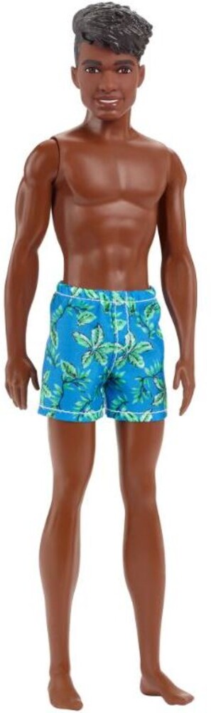 Barbie - Barbie Ken Beach Doll Tropical Aa (Papd)