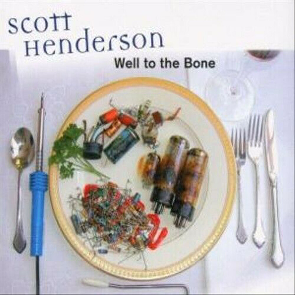 Scott Henderson - Well To The Bone
