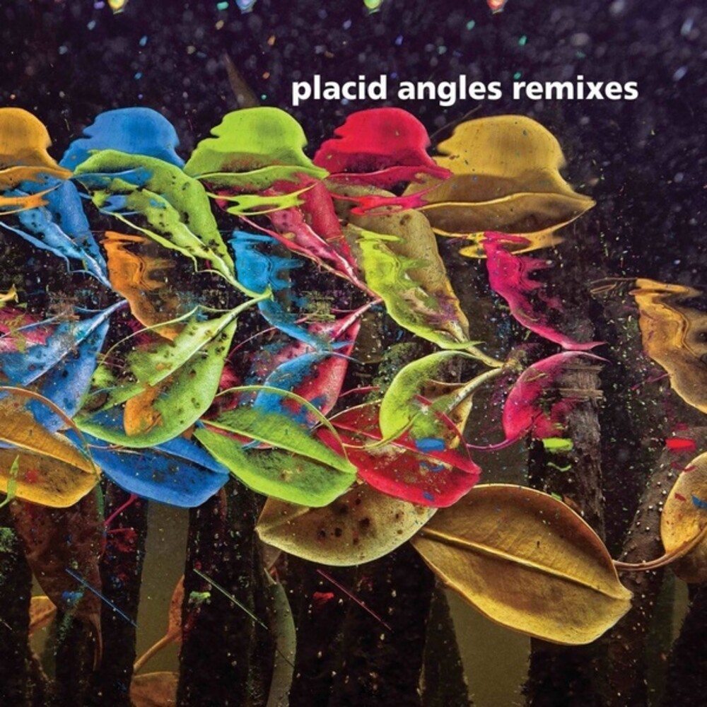 Placid Angles - Touch The Earth Remixes (2pk)