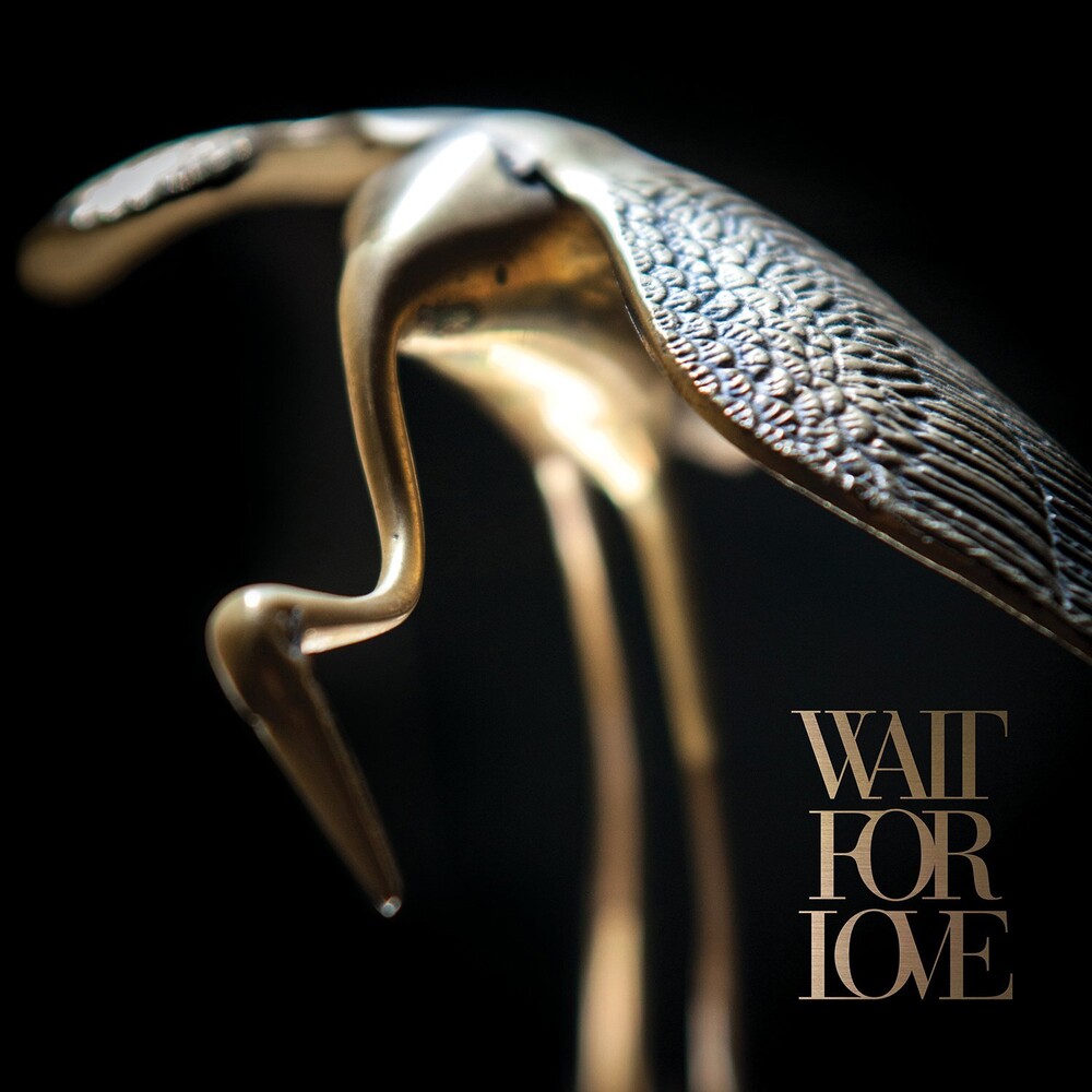Pianos Become The Teeth - Wait For Love (Metallic Gold) [Colored Vinyl] (Gol)
