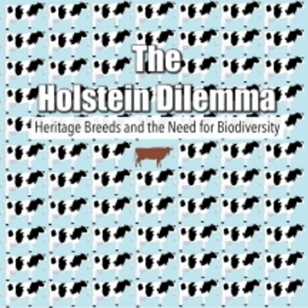 Holstein Dilemma - Holstein Dilemma