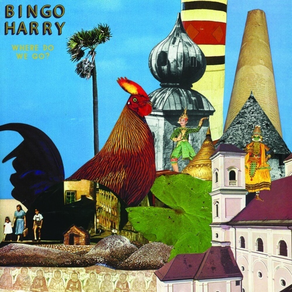 Bingo Harry - Where Do We Go