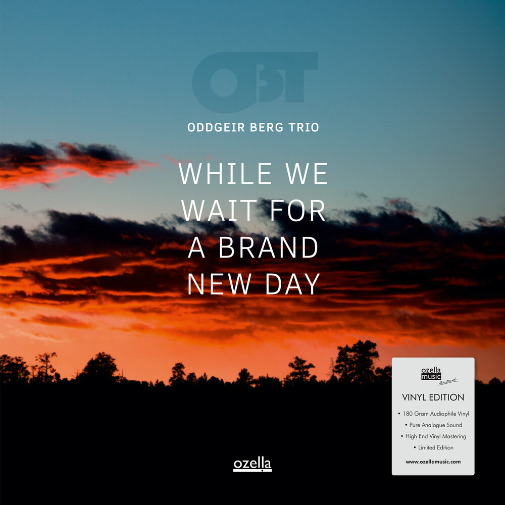 Oddgeir Berg Trio - While We Wait For A Brand New Day
