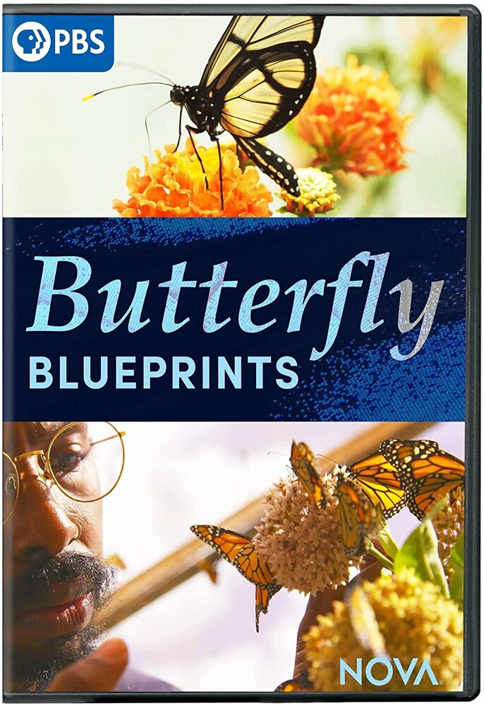 Nova: Butterfly Blueprints - Nova: Butterfly Blueprints