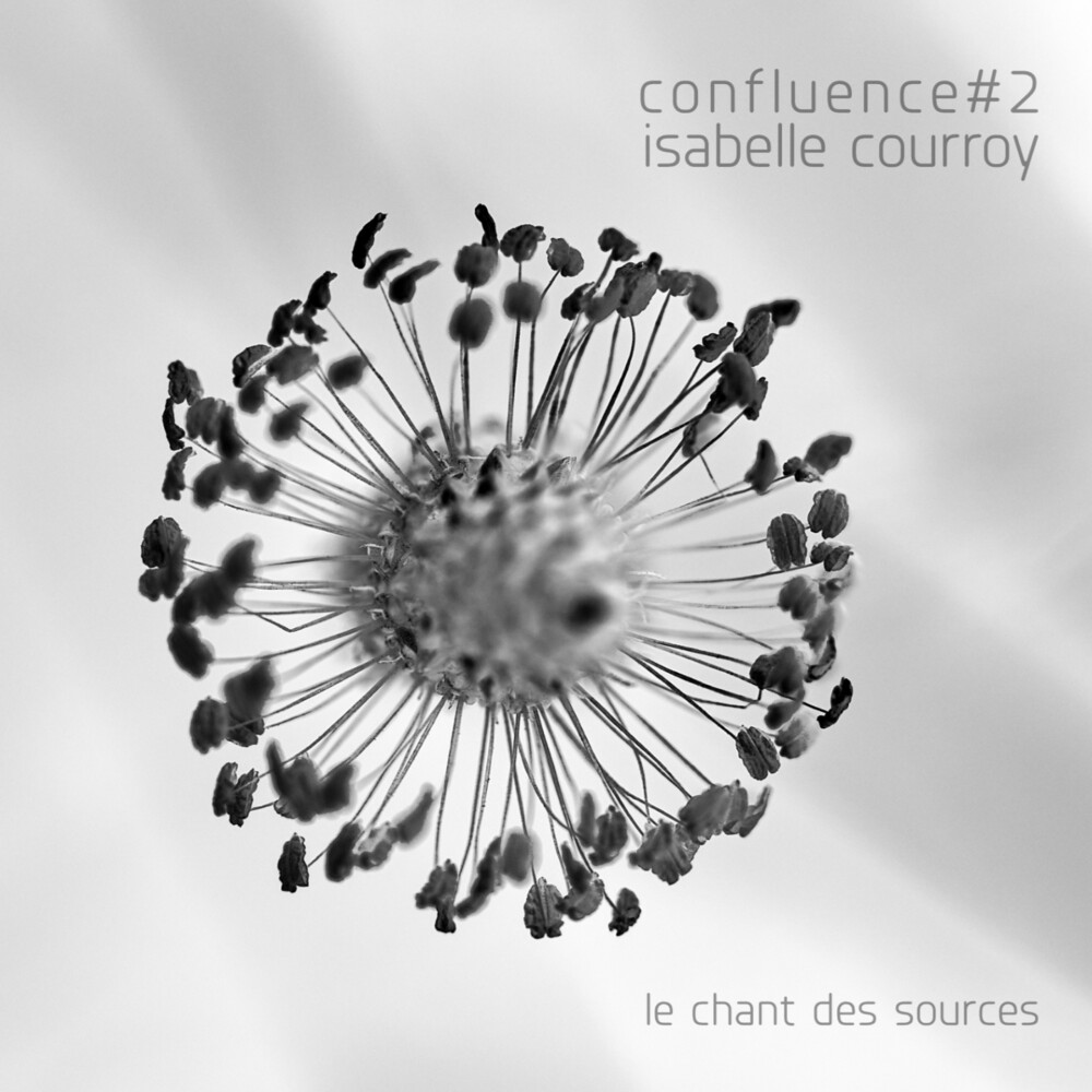 Isabelle Courroy - Confluence #2 Le Chant Des Sources