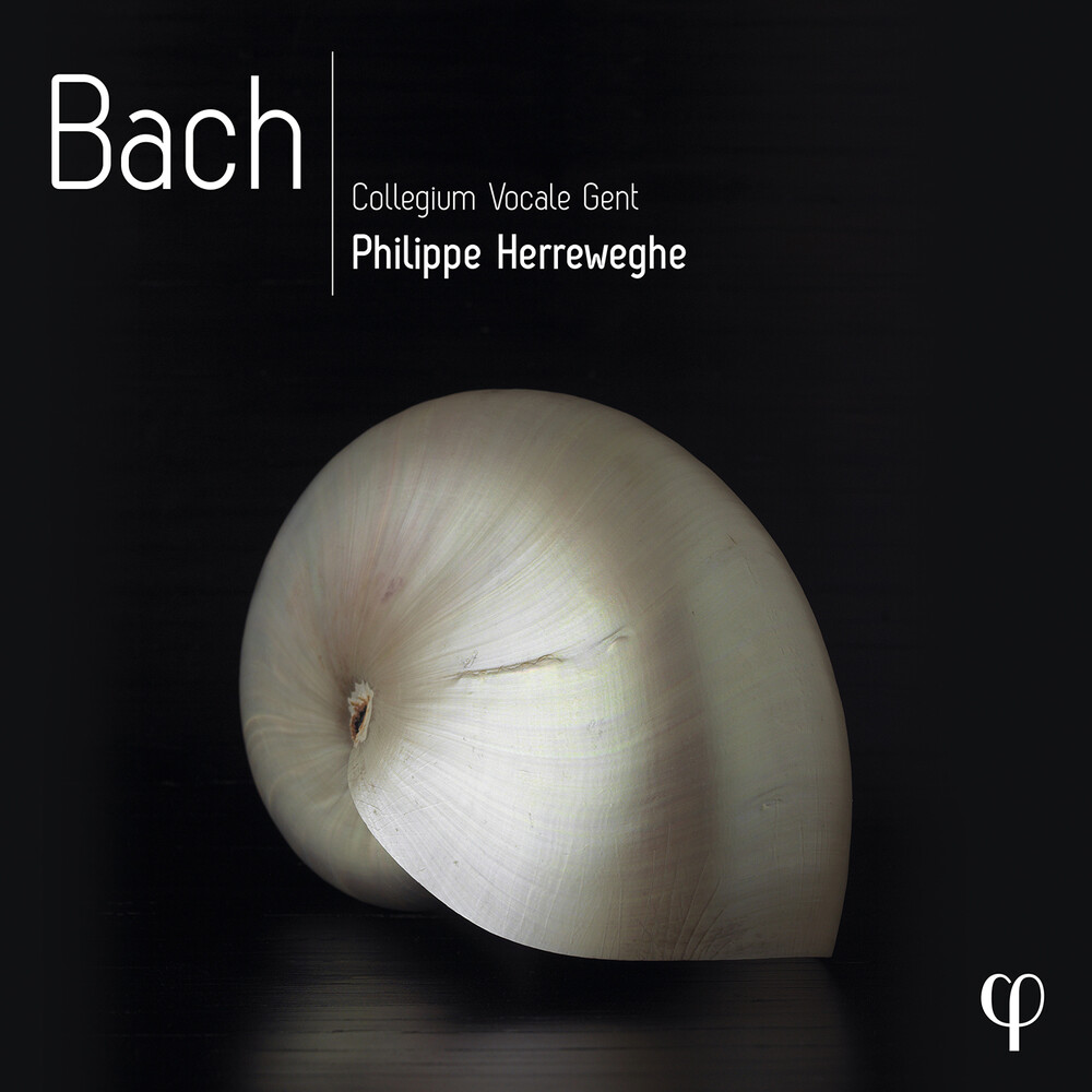 J Bach .S. / Herreweghe / Collegium Vocale Gent - Bach (Box)