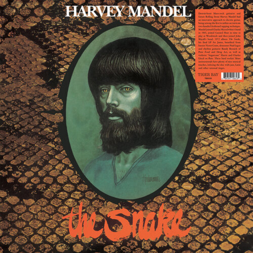 Harvey Mandel - Snake