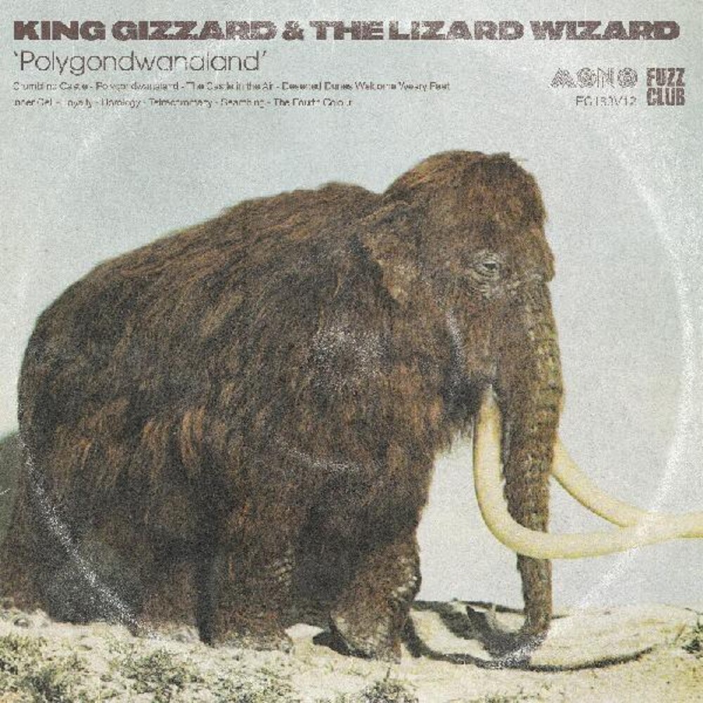 King Gizzard & The Lizard Wizard - Polygondwanaland [Clear Vinyl] (Grn) (Mono)