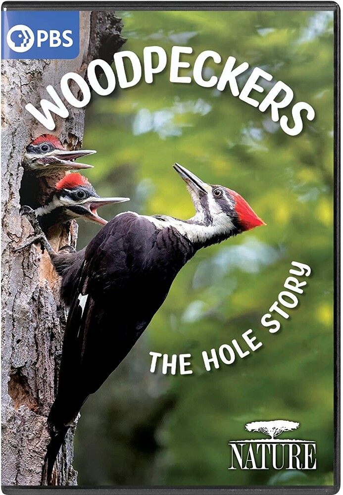 Nature: Woodpeckers - the Hole Story - NATURE: Woodpeckers - The Hole Story