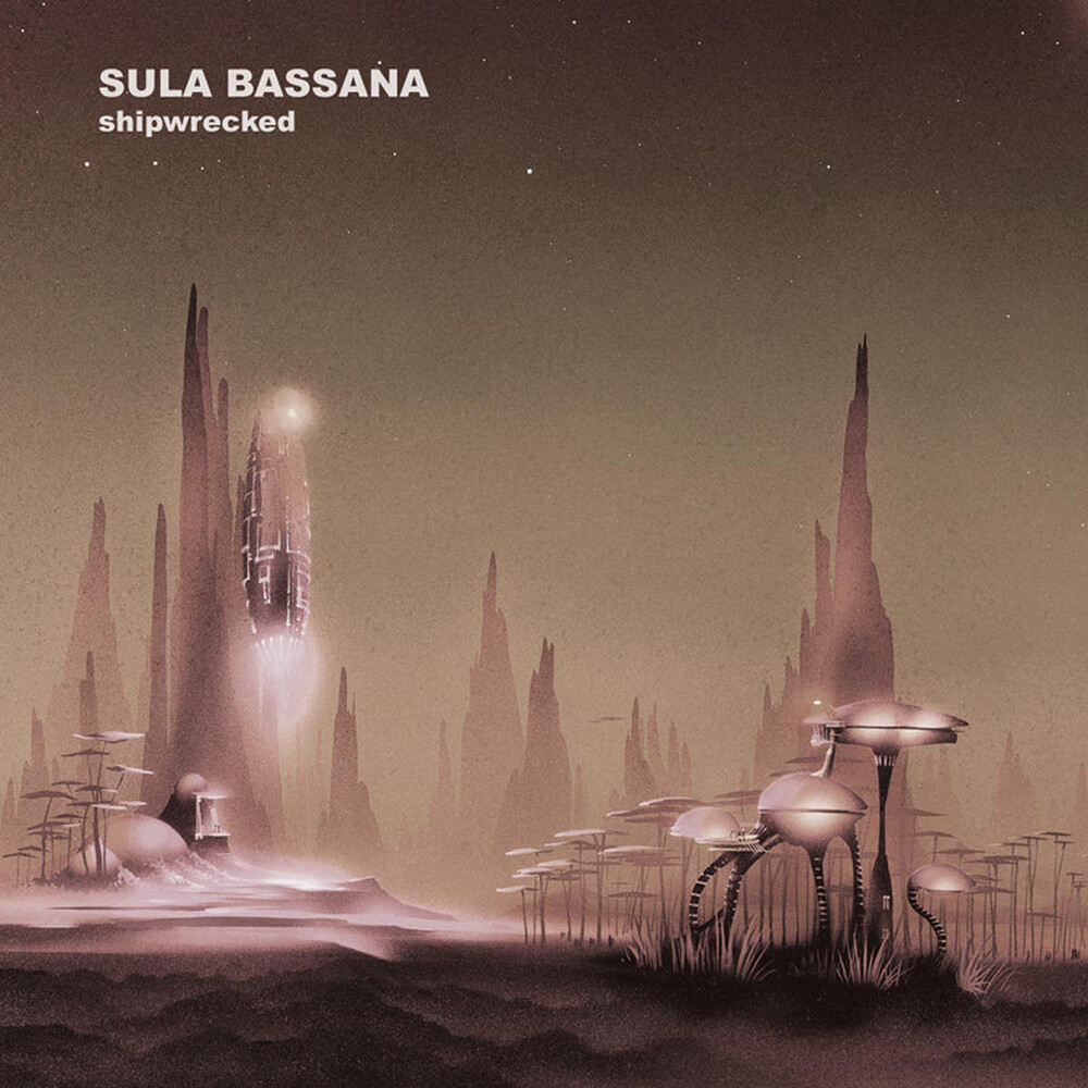 Sula Bassana - Shipwrecked