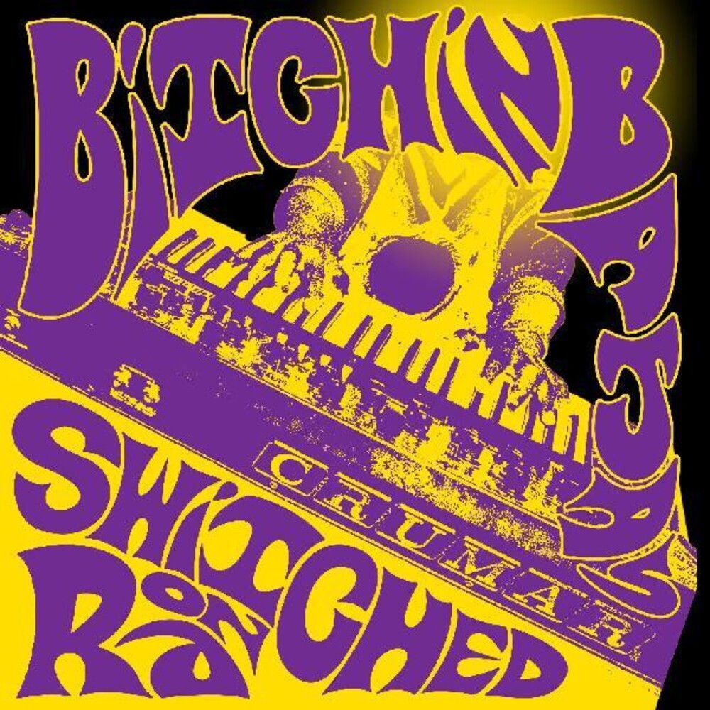 Bitchin' Bajas - Switched On Ra