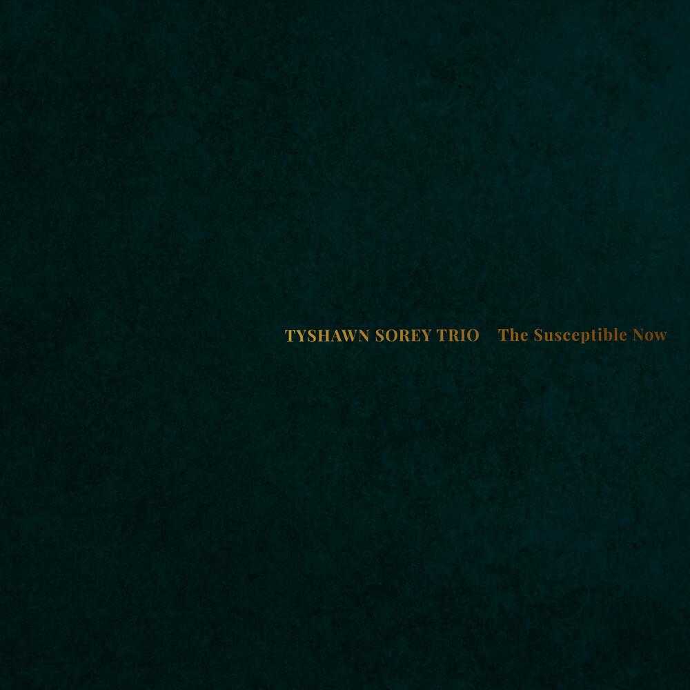 Tyshawn Sorey Trio - Susceptible Now