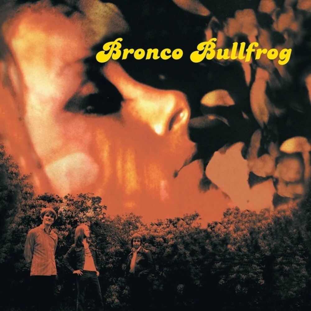 Bronco Bullfrog - Bronco Bullfrog