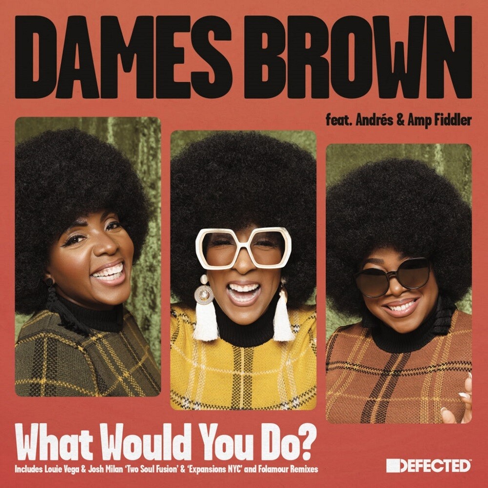 Brown, Dames - What Would You Do? (Remixes)