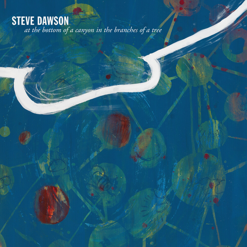 Steve Dawson - At The Bottom Of A Canyon In The Branches Of Tree