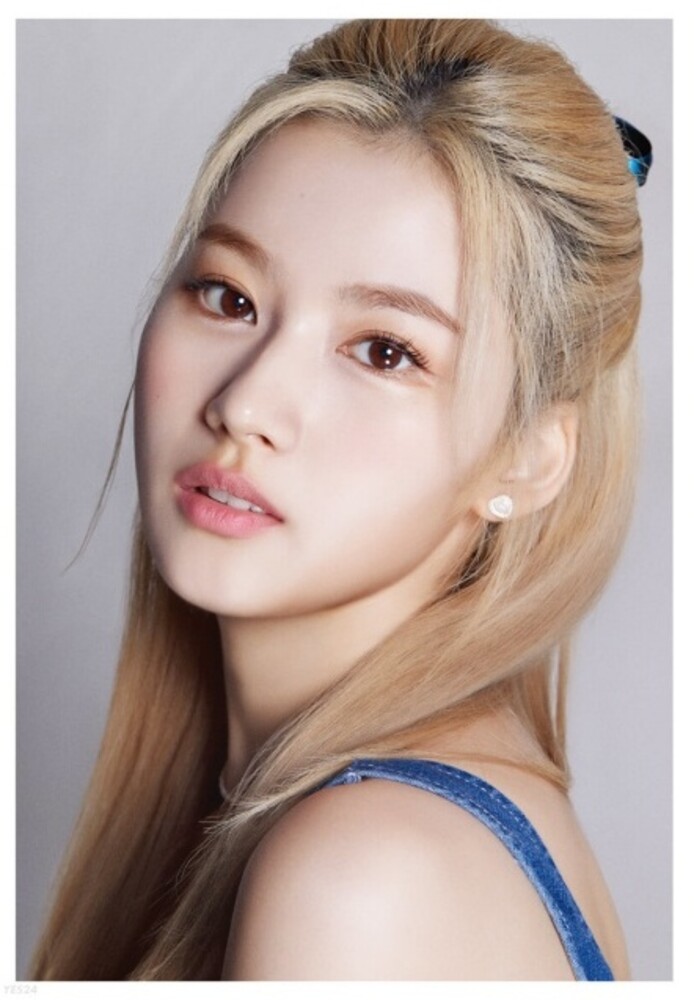 Twice - Dicon D'festa Twice (Sana) (Stic) (Phot) (Asia)