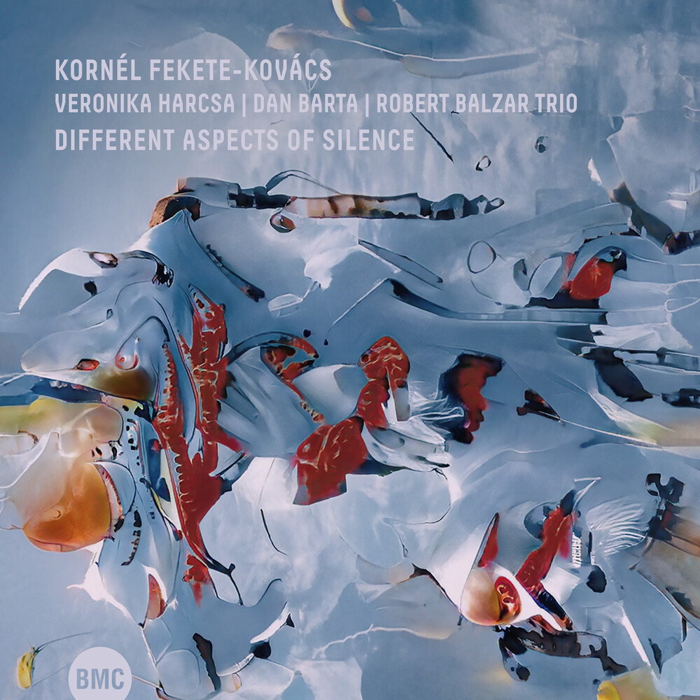 Kornel Kovacs  Fekete / Harcsa,Veronika - Different Aspects Of Silence