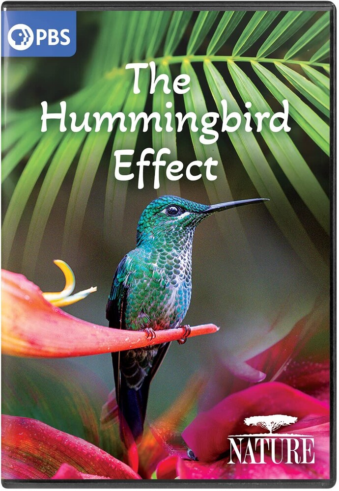 Nature: The Hummingbird Effect - Nature: The Hummingbird Effect