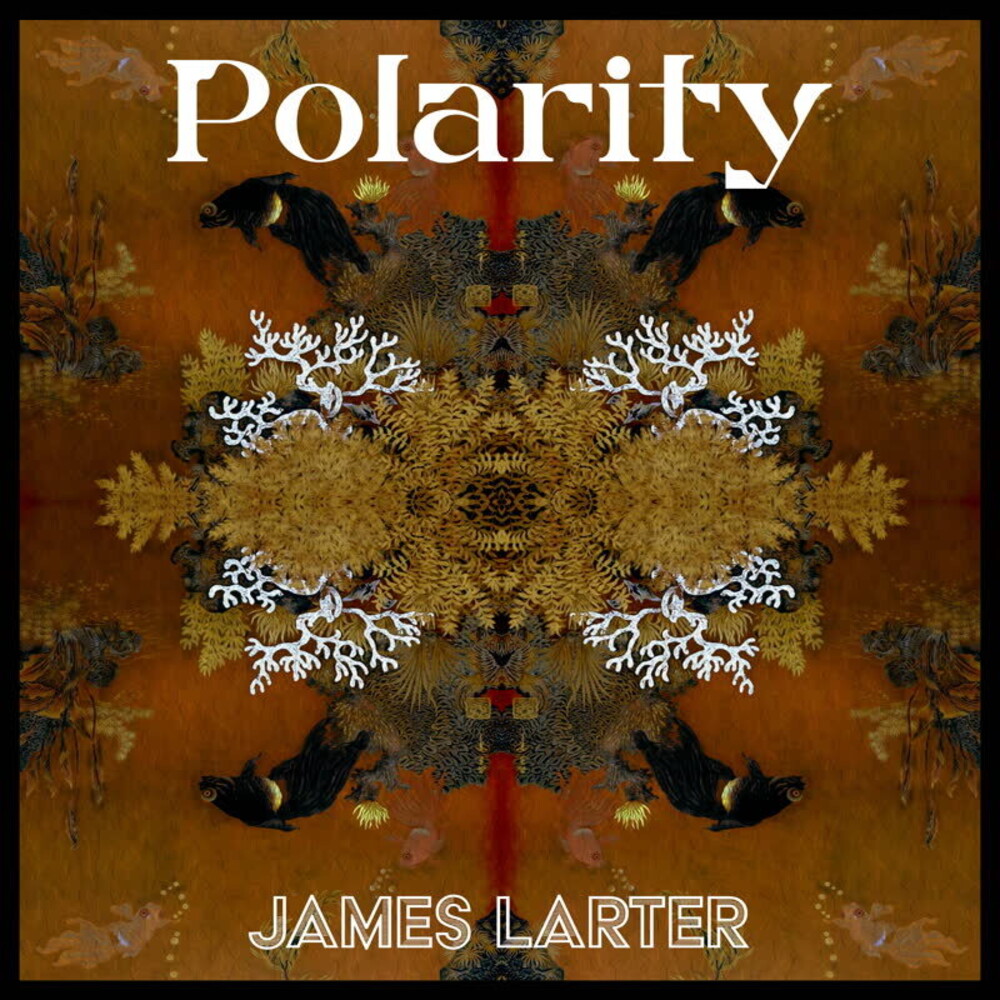James Larter - Polarity (Uk)