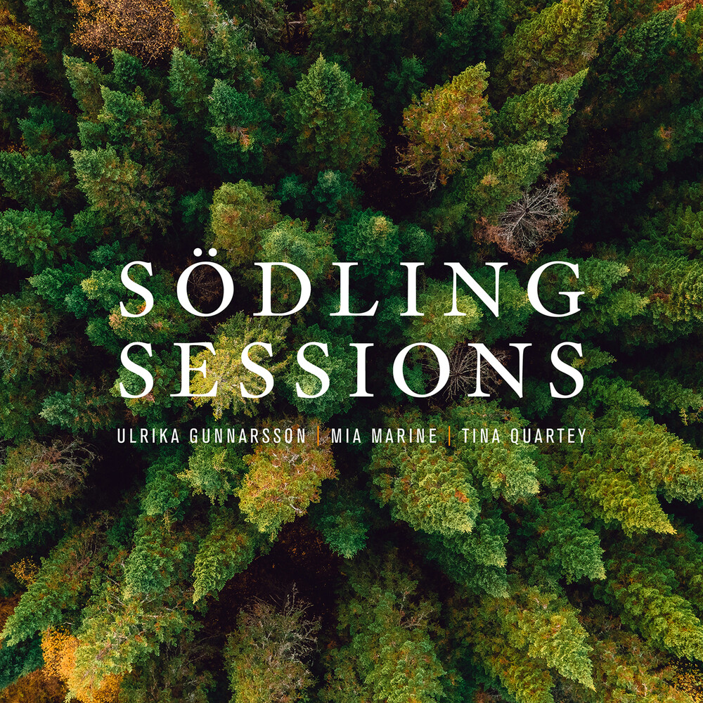 Gunnarsson / Marine / Quartey - Sodling Sessions