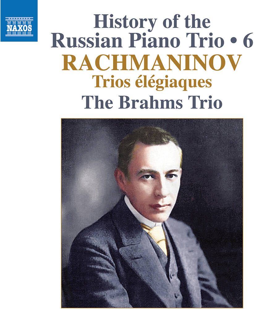 Brahms Trio - History Of The Russian Pno Trio Vol. 6 / Trios