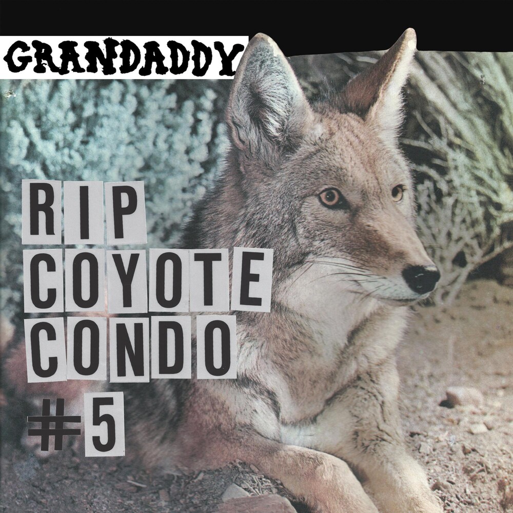 Grandaddy - "RIP Coyote Condo #5" b/w " "The Fox in the Snow" & "In My Room" [RSD BF 2020]