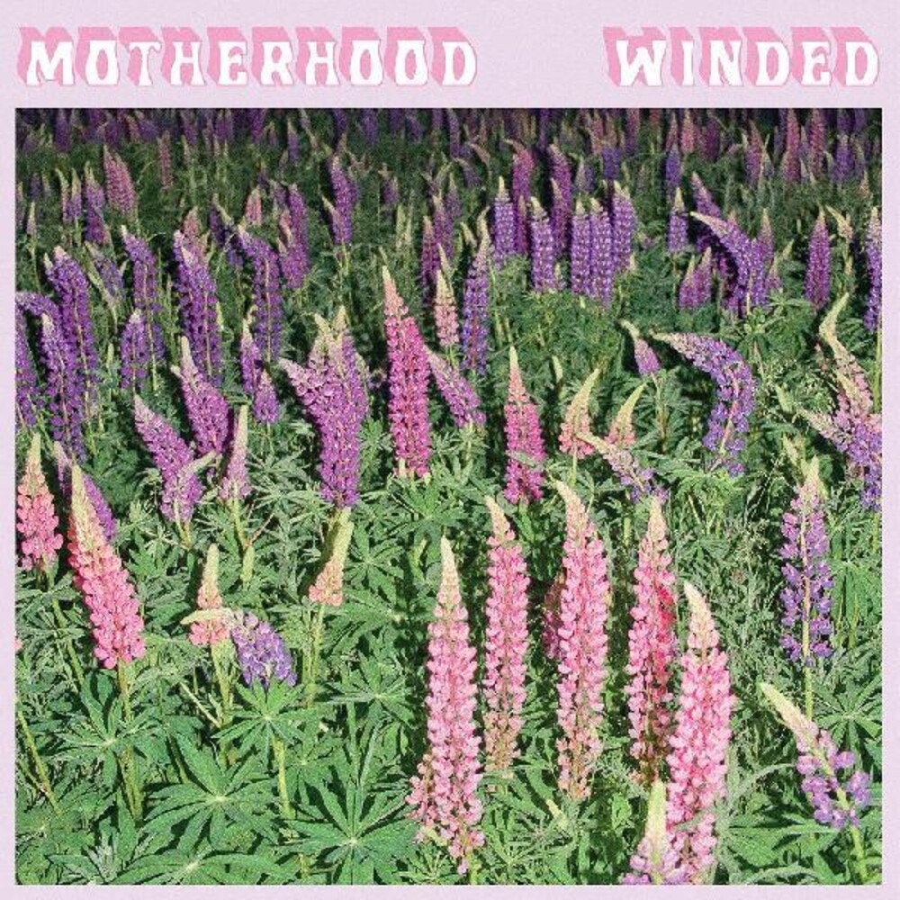 Motherhood - Winded [Clear Vinyl] (Purp)