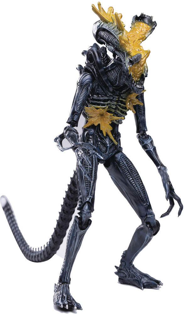 Hiya Toys - Hiya Toys - Aliens Headshot Alien Warrior PX 1/18 Scale Figure