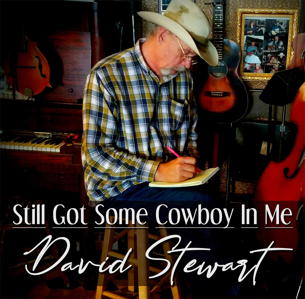 Stewart, David - Still Got Some Cowboy In Me