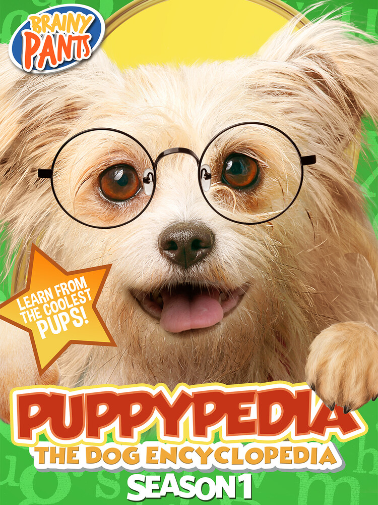 Kelsey Painter - Puppy-Pedia The Dog Encyclopedia Season 1