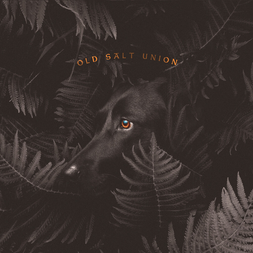 Old Salt Union - Where The Dogs Don't Bite