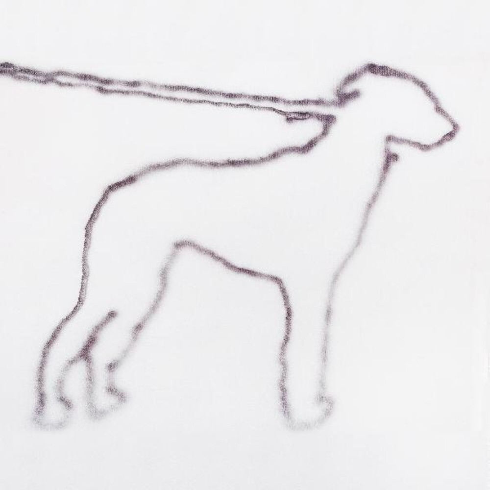 Yano, Jonah - Portrait Of A Dog