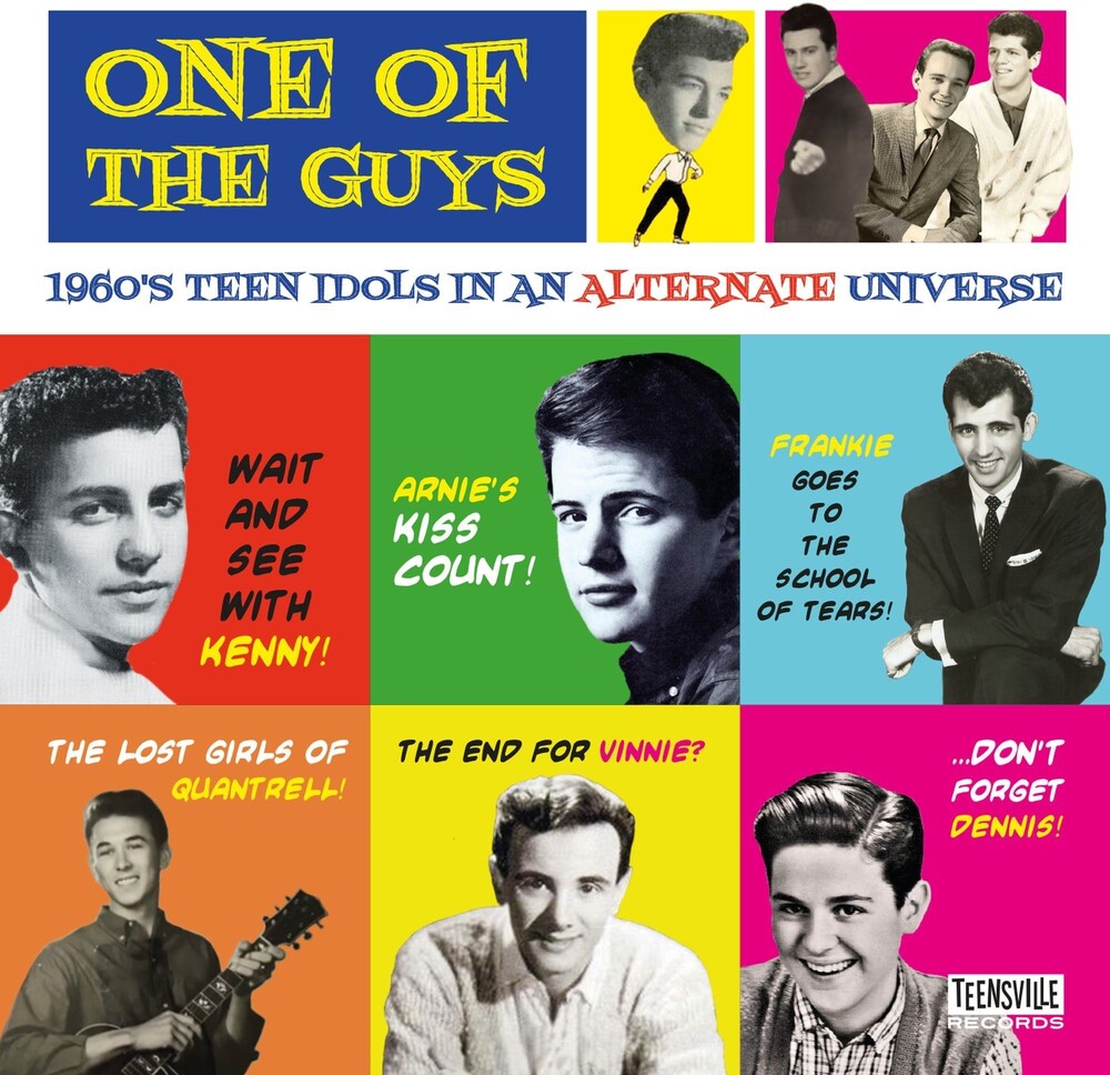 One of the Guys: 1960s Teen Idols in an Alternate - One Of The Guys: 1960s Teen Idols In An Alternate Universe / Various
