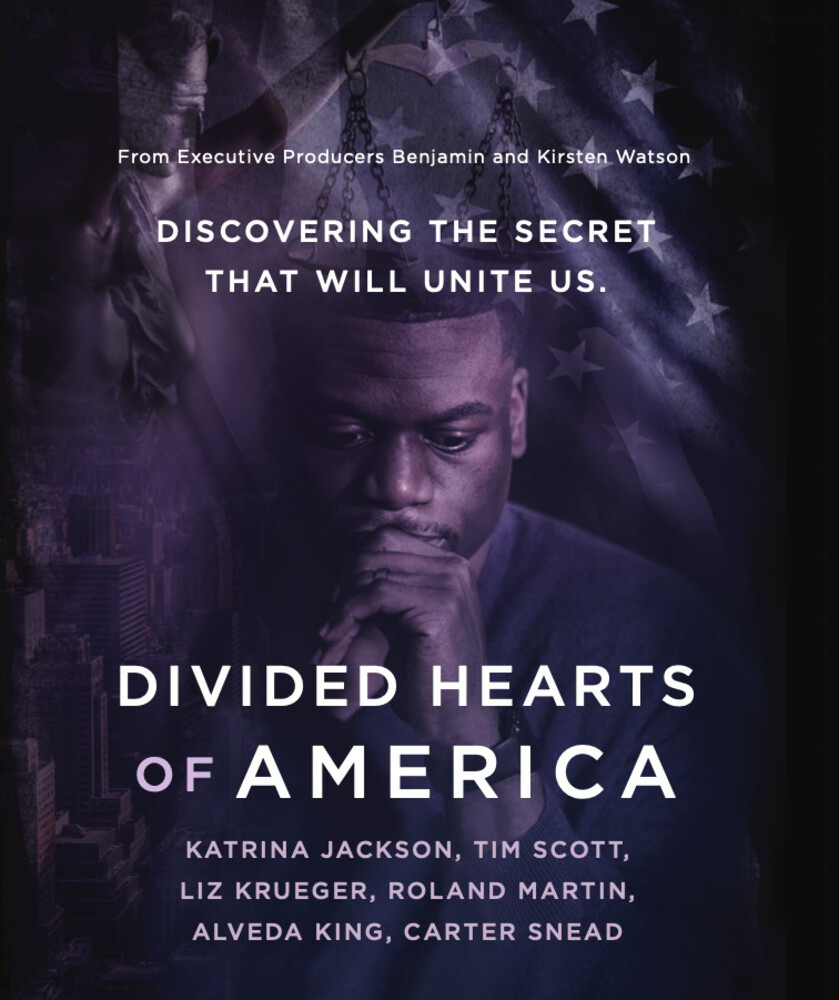 Divided Hearts of America - Divided Hearts Of America