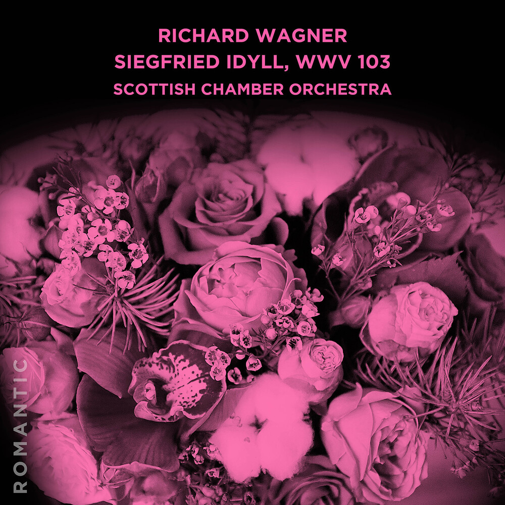 Scottish Chamber Orchestra - Siegfried Idyll Wwv 103 (Mod)