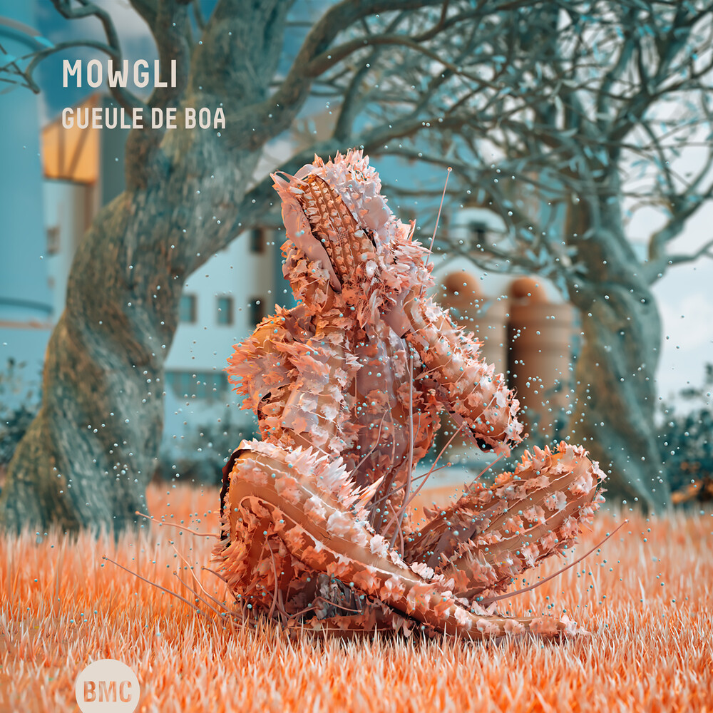 Mowgli - Gueule De Boa