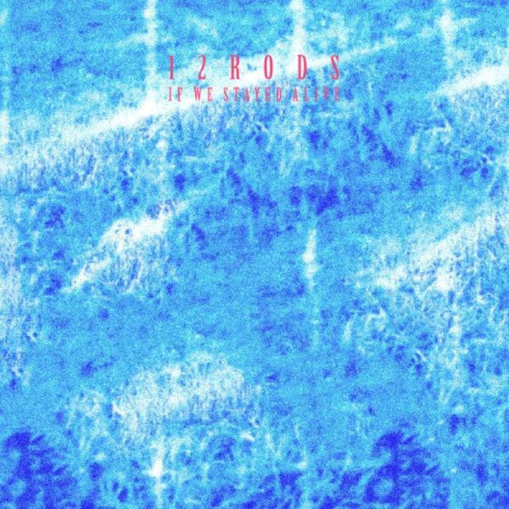 12 Rods - If We Stayed Alive [LP]