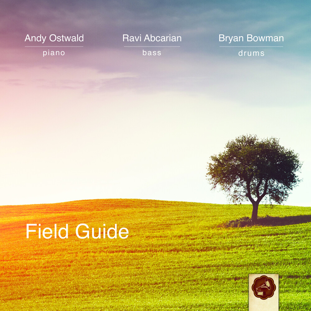 Andy Ostwald  Trio - Field Guide