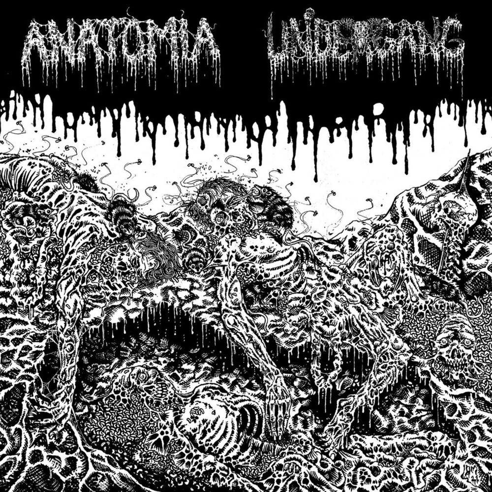 Undergang / Anatomia - Split (Uk)